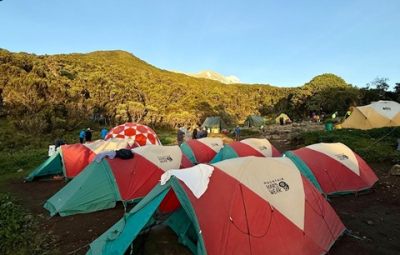 Kilimanjaro Climb & Safari: Grom & Team Ascend to Shira Plateau