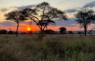 Kilimanjaro: Hahn & Team Visit Tarangire National Park