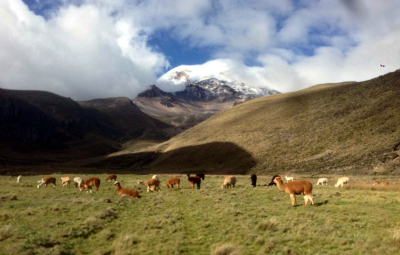 Ecuador Seminar: Nugent & Team Travel Back to Quito for a Celebration and Flights Home