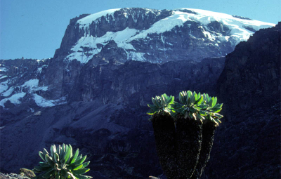 Kilimanjaro: Mark Tucker & Team Arrive in Africa!