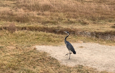 Kilimanjaro: Hahn & Team Enjoy Great Day at Ngorongoro Crater