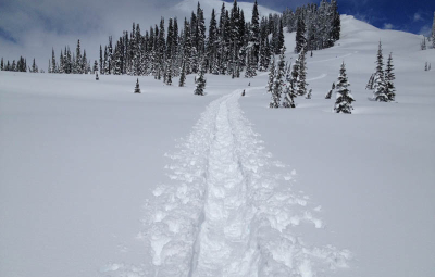Mt. Rainier: The Winter Seminar Heads Uphill From Paradise