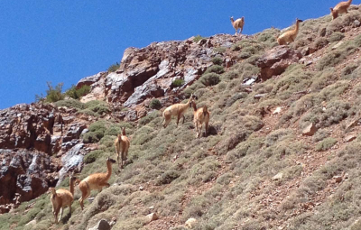 Aconcagua: Smith & Team’s Last Night Out Before Mendoza