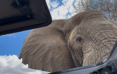 Kilimanjaro Climb & Safari: Team Visits Tarangire National Park