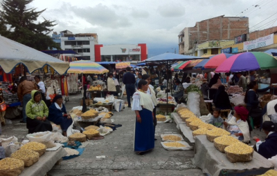 Ecuador Seminar: Nugent & Team Explore Market, Arrive Cayambe Hut