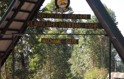 Kilimanjaro: Waterfall & Team Reach Machame Camp