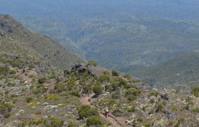 Kilimanjaro: Hahn and Team Reach Shira Camp
