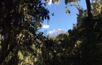 Kilimanjaro: Hahn & Team Descend to Mweka Camp for Their Last Night on the Mountain