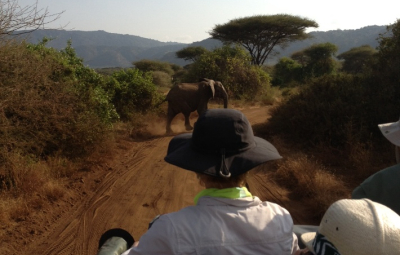 Mt. Kilimanjaro: Waterfall & Team Game View at Lake Manyara