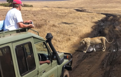 Kilimanjaro: Big Cats in Ngorongoro
