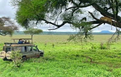 Kilimanjaro: Grom & Team See Big Cats at Close Range