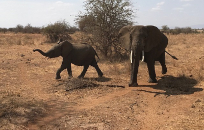 Kilimanjaro: Hahn & Team End Their Adventure in Tanzania