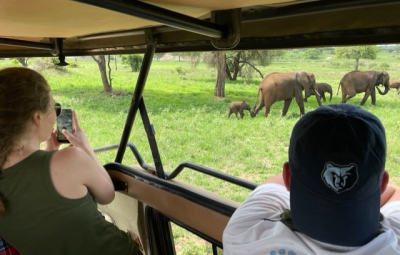 Kilimanjaro: A Safari Day in Tarangire National Park