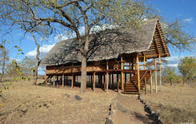 Kilimanjaro: Tucker & Team’s Last Safari Day Ends at Kikoti Camp